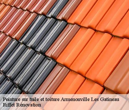 Peinture sur tuile et toiture  armenonville-les-gatineau-28320 Riffet Rénovation