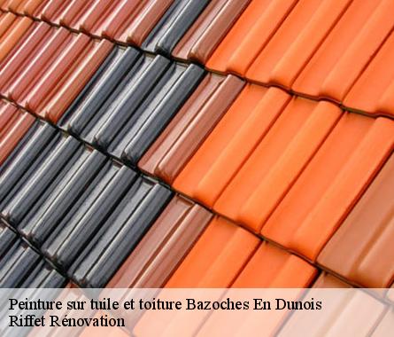Peinture sur tuile et toiture  bazoches-en-dunois-28140 Riffet Rénovation