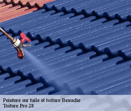Peinture sur tuile et toiture  beauche-28270 Toiture Pro 28