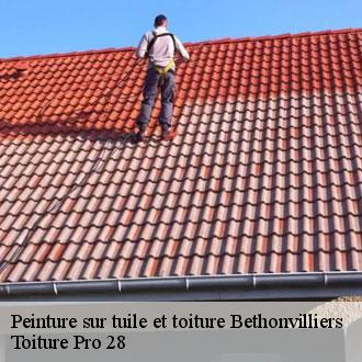 Peinture sur tuile et toiture bethonvilliers-28330 Toiture Pro 28
