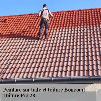 Peinture sur tuile et toiture  boncourt-28260 Toiture Pro 28