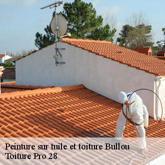 Peinture sur tuile et toiture bullou-28160 Toiture Pro 28