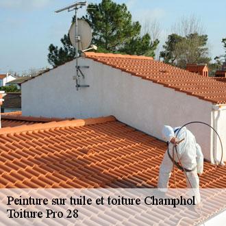 Peinture sur tuile et toiture  champhol-28300 Toiture Pro 28
