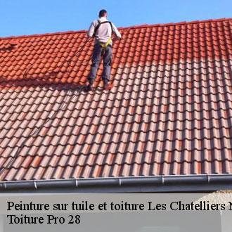 Peinture sur tuile et toiture les-chatelliers-notre-dam-28120 Toiture Pro 28