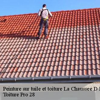 Peinture sur tuile et toiture  la-chaussee-d-ivry-28260 Toiture Pro 28