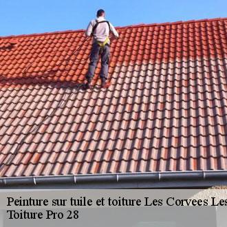 Peinture sur tuile et toiture  les-corvees-les-yys-28240 Toiture Pro 28