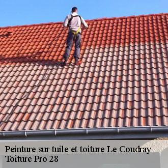 Peinture sur tuile et toiture  le-coudray-28630 Toiture Pro 28