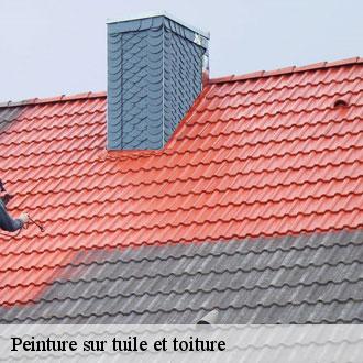Peinture sur tuile et toiture  denonville-28700 Toiture Pro 28