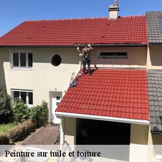 Peinture sur tuile et toiture fontaine-les-ribouts-28170 Toiture Pro 28