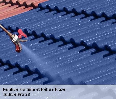 Peinture sur tuile et toiture  fraze-28160 Toiture Pro 28
