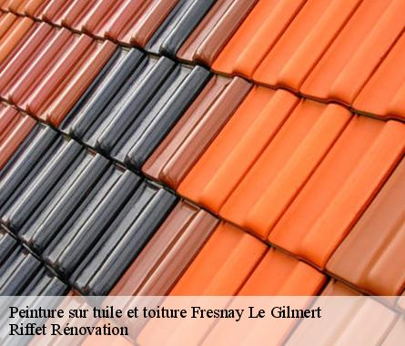 Peinture sur tuile et toiture  fresnay-le-gilmert-28300 Riffet Rénovation