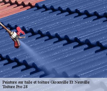 Peinture sur tuile et toiture  gironville-et-neuville-28170 Toiture Pro 28