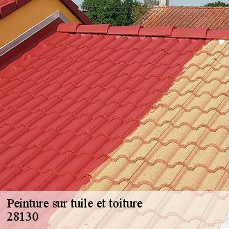 Peinture sur tuile et toiture  houx-28130 Toiture Pro 28