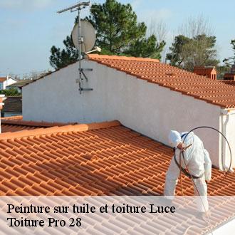 Peinture sur tuile et toiture  luce-28110 Toiture Pro 28
