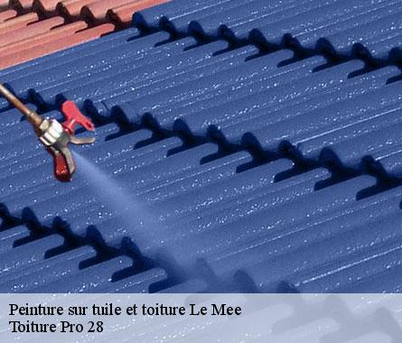 Peinture sur tuile et toiture  le-mee-28220 Toiture Pro 28