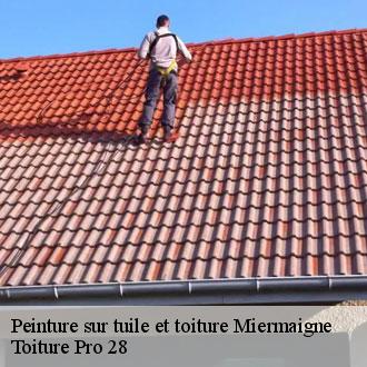 Peinture sur tuile et toiture  miermaigne-28420 Toiture Pro 28