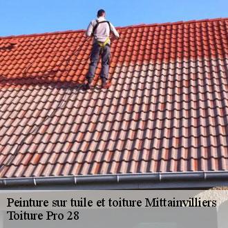 Peinture sur tuile et toiture  mittainvilliers-28190 Toiture Pro 28