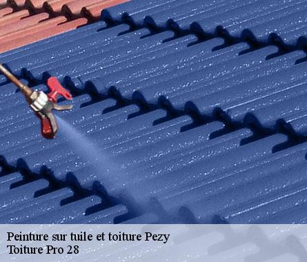 Peinture sur tuile et toiture  pezy-28150 Toiture Pro 28