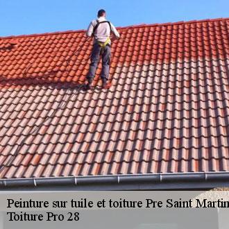 Peinture sur tuile et toiture pre-saint-martin-28800 Toiture Pro 28