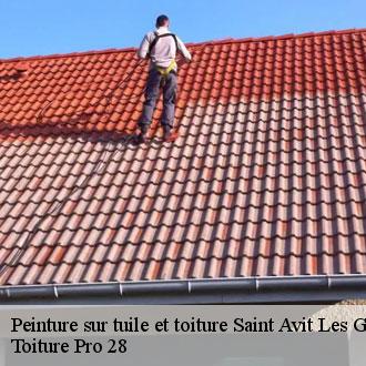 Peinture sur tuile et toiture  saint-avit-les-guespieres-28120 Toiture Pro 28