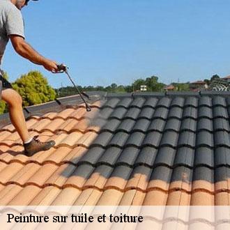 Peinture sur tuile et toiture  saint-bomert-28330 Toiture Pro 28