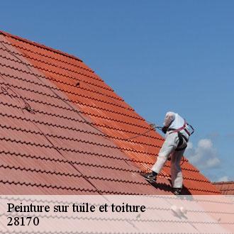 Peinture sur tuile et toiture saint-cheron-des-champs-28170 Toiture Pro 28