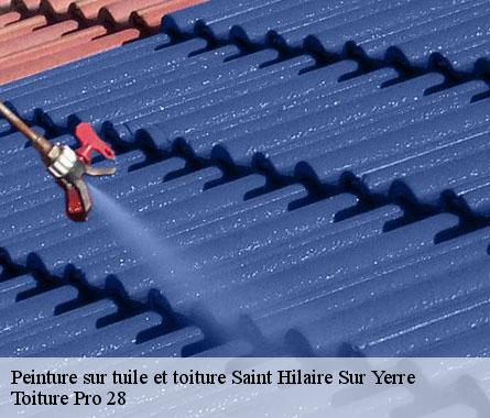 Peinture sur tuile et toiture  saint-hilaire-sur-yerre-28220 Toiture Pro 28