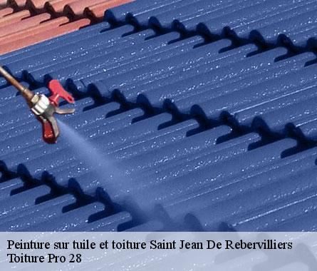 Peinture sur tuile et toiture saint-jean-de-rebervilliers-28170 Toiture Pro 28