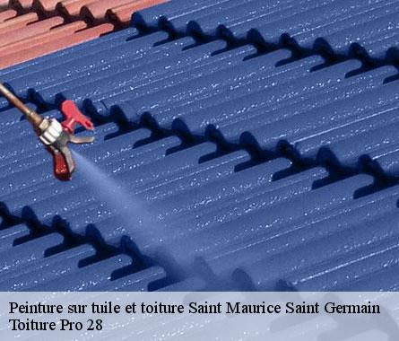 Peinture sur tuile et toiture  saint-maurice-saint-germain-28240 Toiture Pro 28