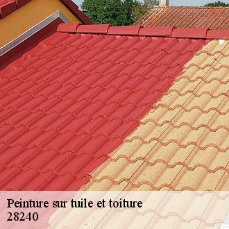 Peinture sur tuile et toiture  saint-maurice-saint-germain-28240 Toiture Pro 28