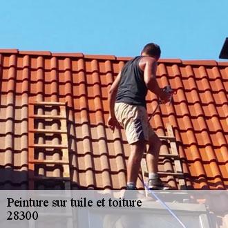 Peinture sur tuile et toiture saint-prest-28300 Toiture Pro 28