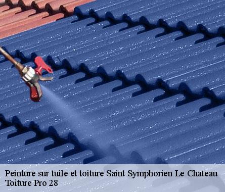 Peinture sur tuile et toiture  saint-symphorien-le-chateau-28700 Toiture Pro 28