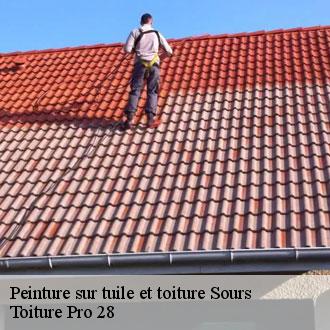 Peinture sur tuile et toiture sours-28630 Toiture Pro 28