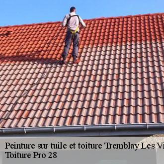 Peinture sur tuile et toiture  tremblay-les-villages-28170 Toiture Pro 28