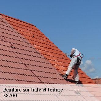 Peinture sur tuile et toiture  umpeau-28700 Toiture Pro 28