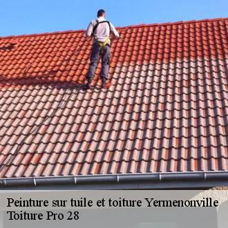 Peinture sur tuile et toiture  yermenonville-28130 Toiture Pro 28