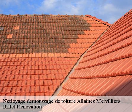 Nettoyage demoussage de toiture  allaines-mervilliers-28310 Riffet Rénovation