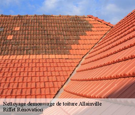 Nettoyage demoussage de toiture  allainville-28500 Riffet Rénovation