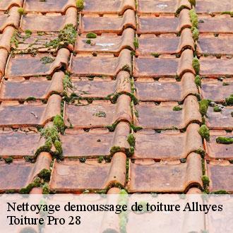 Nettoyage demoussage de toiture  alluyes-28800 Toiture Pro 28