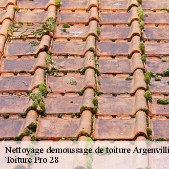 Nettoyage demoussage de toiture  argenvilliers-28420 Toiture Pro 28