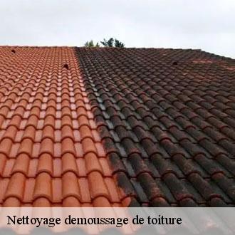 Nettoyage demoussage de toiture  billancelles-28190 Toiture Pro 28