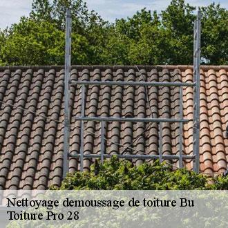Nettoyage demoussage de toiture  bu-28410 Toiture Pro 28