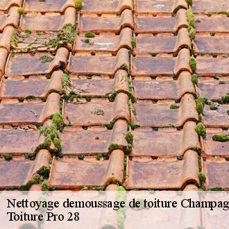 Nettoyage demoussage de toiture  champagne-28410 Toiture Pro 28