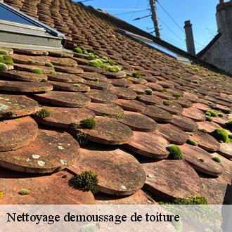 Nettoyage demoussage de toiture chatenay-28700 Toiture Pro 28