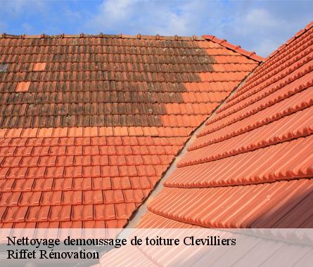 Nettoyage demoussage de toiture  clevilliers-28300 Riffet Rénovation