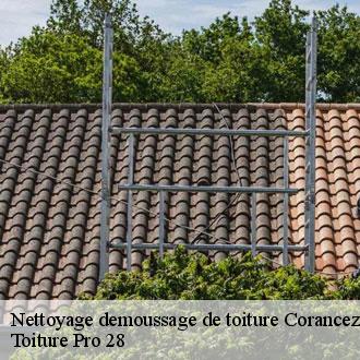 Nettoyage demoussage de toiture  corancez-28630 Toiture Pro 28