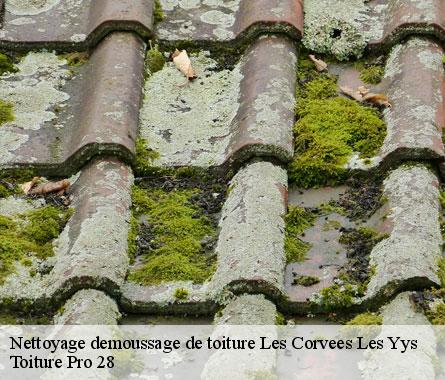 Nettoyage demoussage de toiture  les-corvees-les-yys-28240 Toiture Pro 28