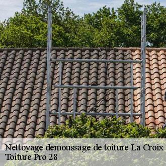 Nettoyage demoussage de toiture  la-croix-du-perche-28480 Toiture Pro 28