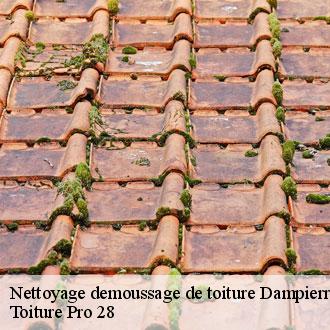 Nettoyage demoussage de toiture  dampierre-sur-blevy-28170 Toiture Pro 28