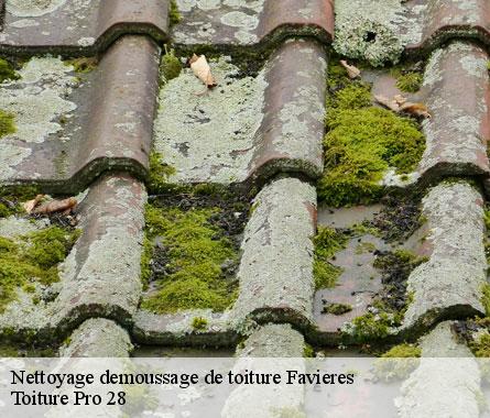 Nettoyage demoussage de toiture  favieres-28170 Toiture Pro 28